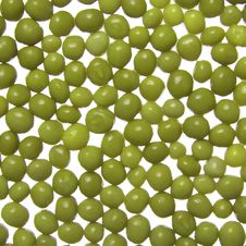 Fresh Green Peas Stock Photo Fresh Green Peas Stock Photo