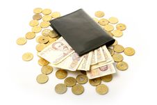 Coins And Wallet Royalty Free Stock Images