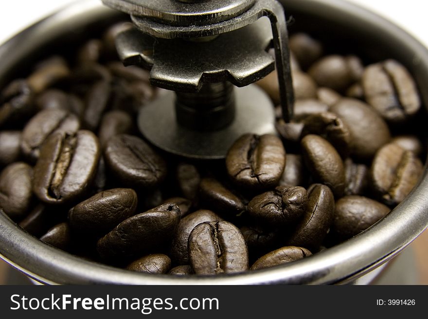 Coffee beans in coffee grinder. Close up