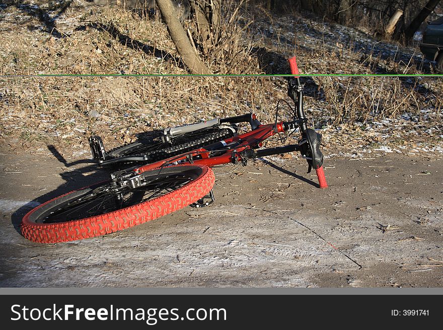 Bike in winter wood