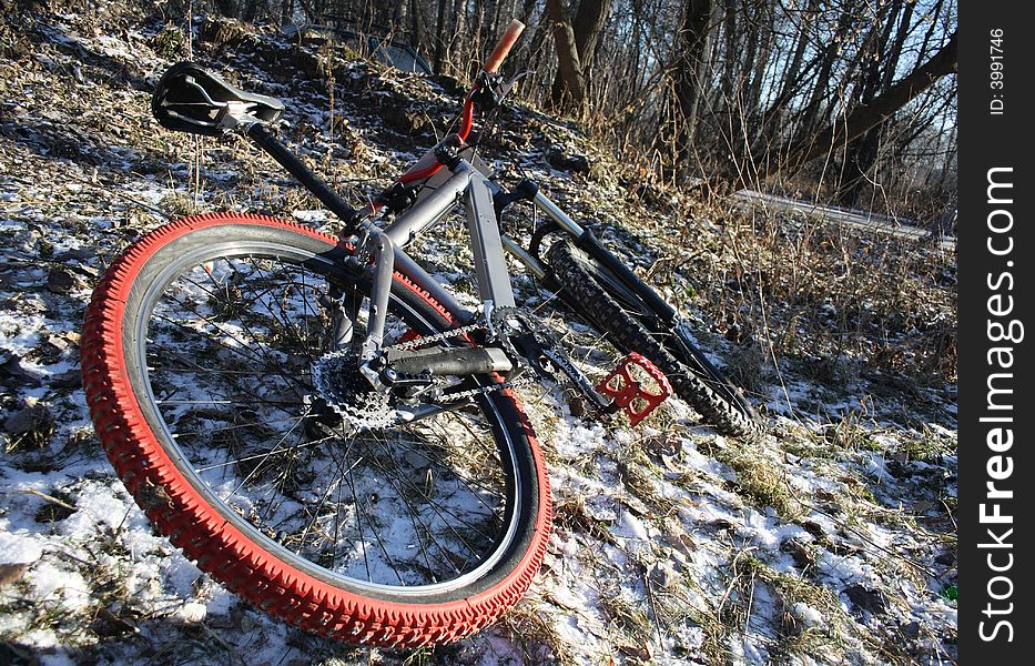 Bicycle for off-road racing in winter wood. Bicycle for off-road racing in winter wood