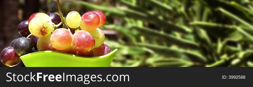 A bunch pf grapes fruit with green background