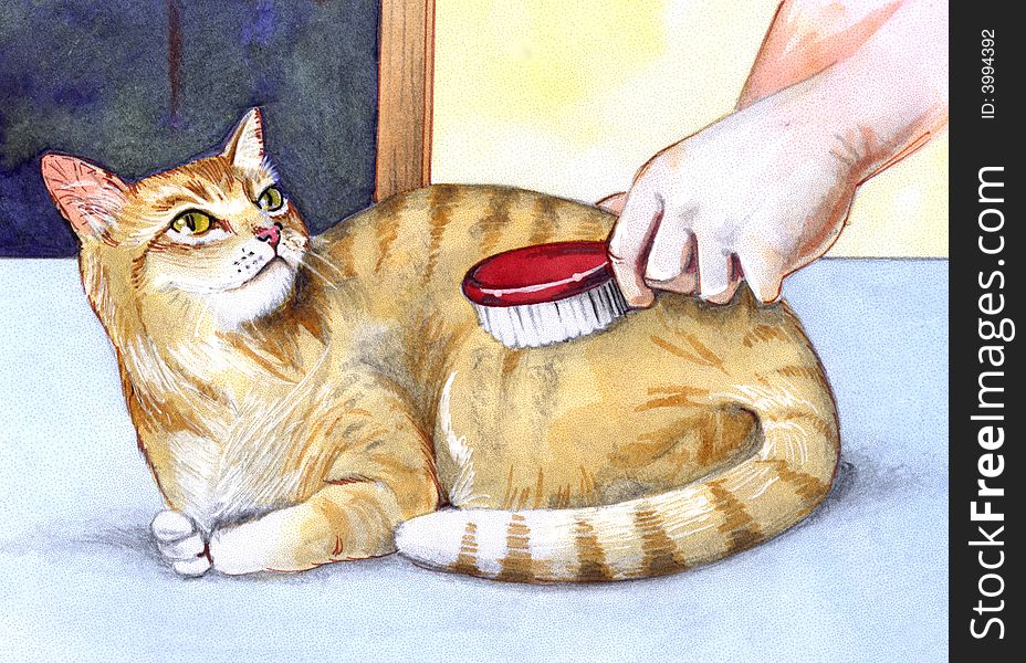 Hands brushing a sweet cat. Hands brushing a sweet cat