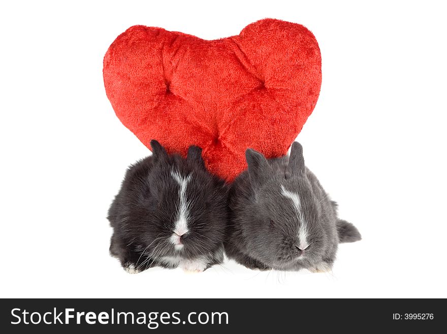 Two cute baby rabbits with red hearts