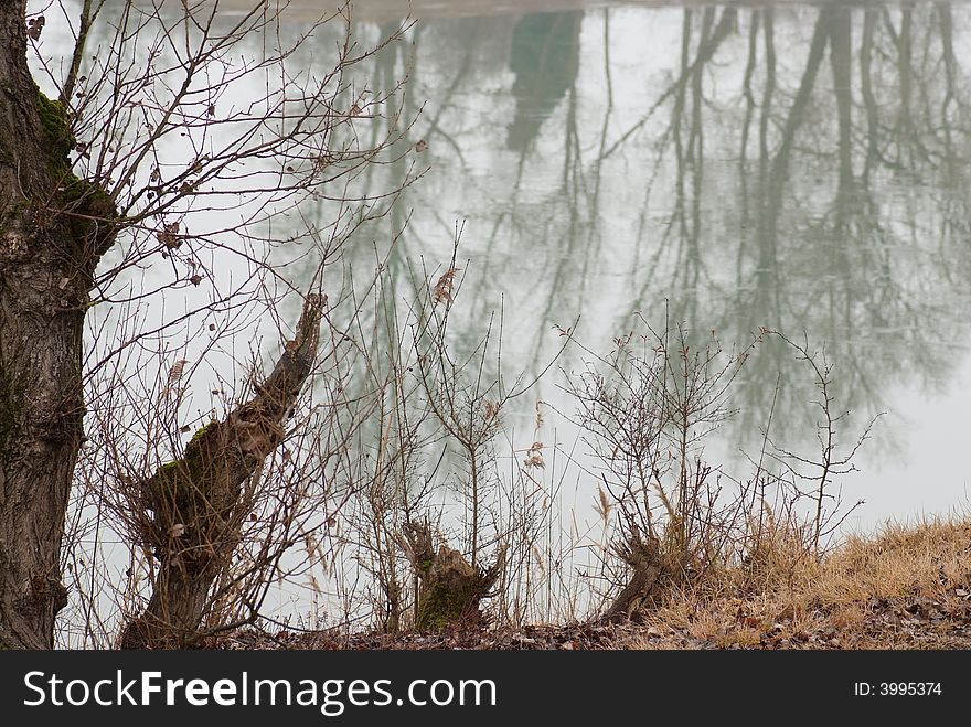 Tree reflection in a lake in winter. Tree reflection in a lake in winter