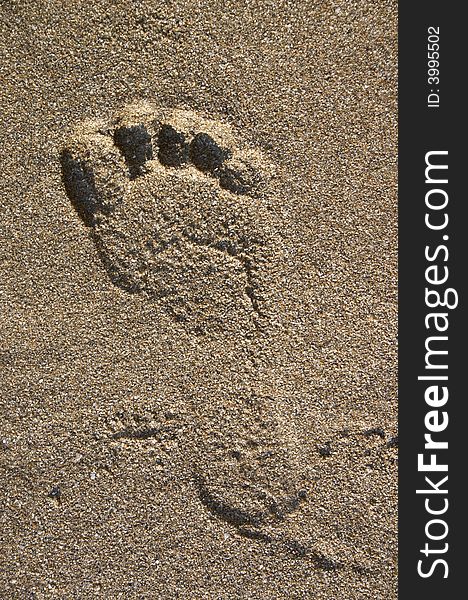 Footprint on sand on sea shore