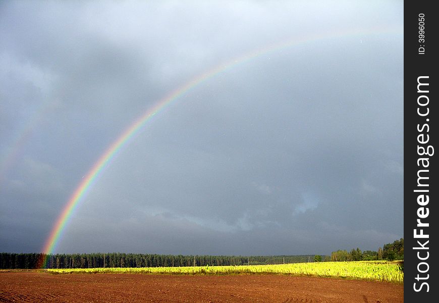 Colourful rainbow above the fields