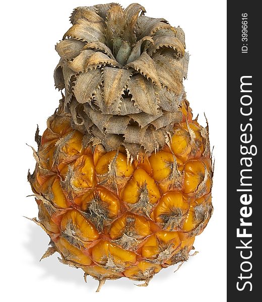 Small Pineapple