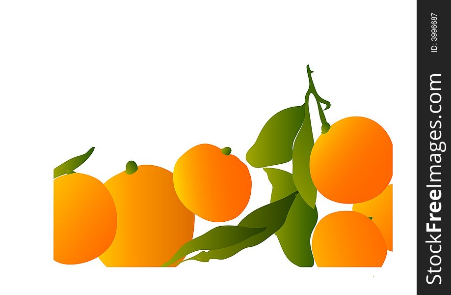 fresh oranges with leafs-isolated on white. a -illustration.