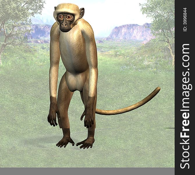 Rendered Image of a monkey 
Image contains a Clipping Path. Rendered Image of a monkey 
Image contains a Clipping Path