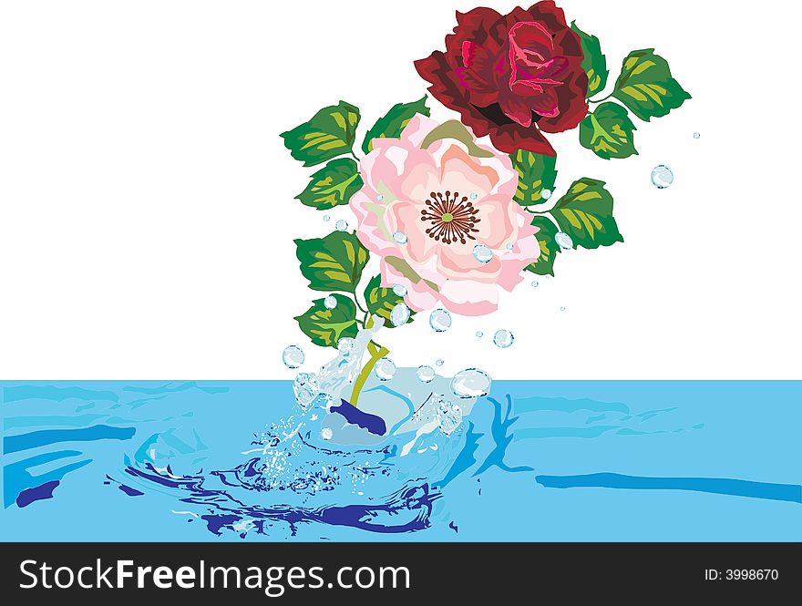 Illustration with roses and blue drops. Illustration with roses and blue drops