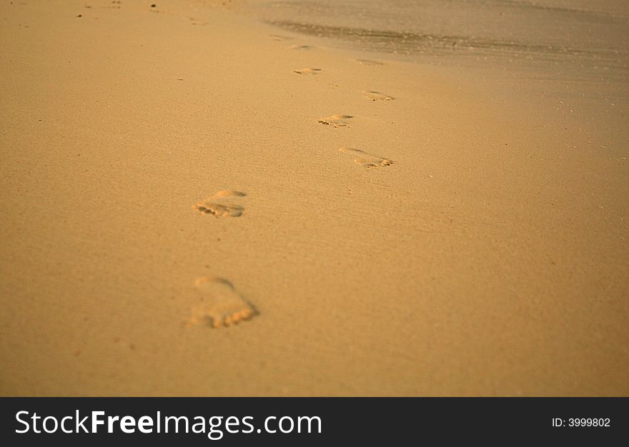Footprints on the beach Mombasa Kenya