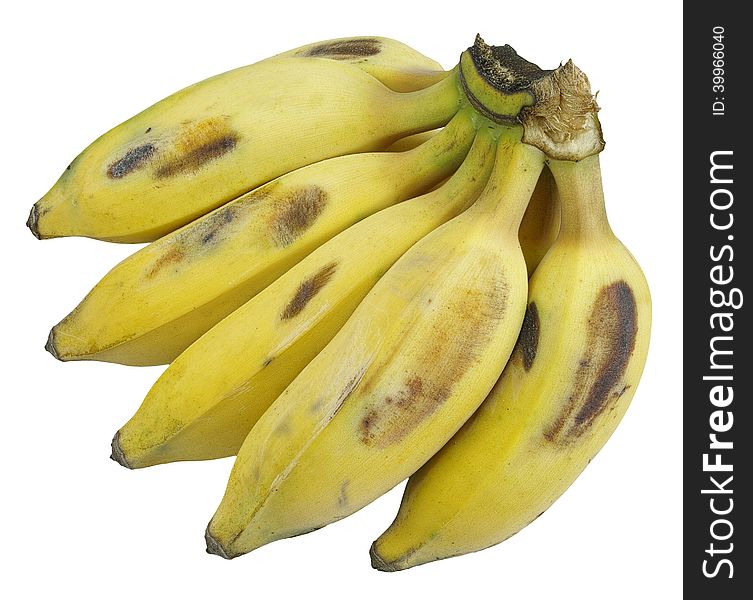 Closeup bunch of musa basjoo siebold (aisa bananas) isolated on white