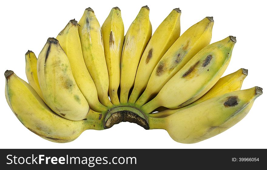 Closeup bunch of musa basjoo siebold (aisa bananas) isolated on white