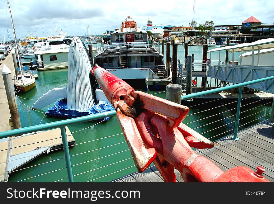 This old whale harpoon now watches over on of the biggest fleets of whale watching boats in the world. Queensland, Australia