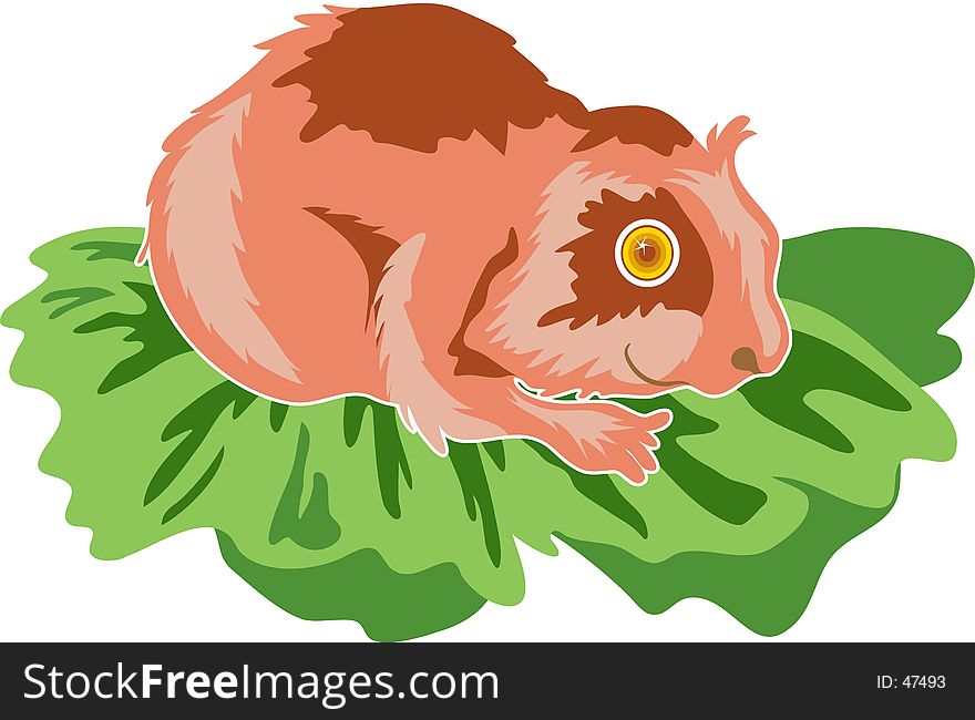 cartoon hamster chewing on a lettuce leaf.