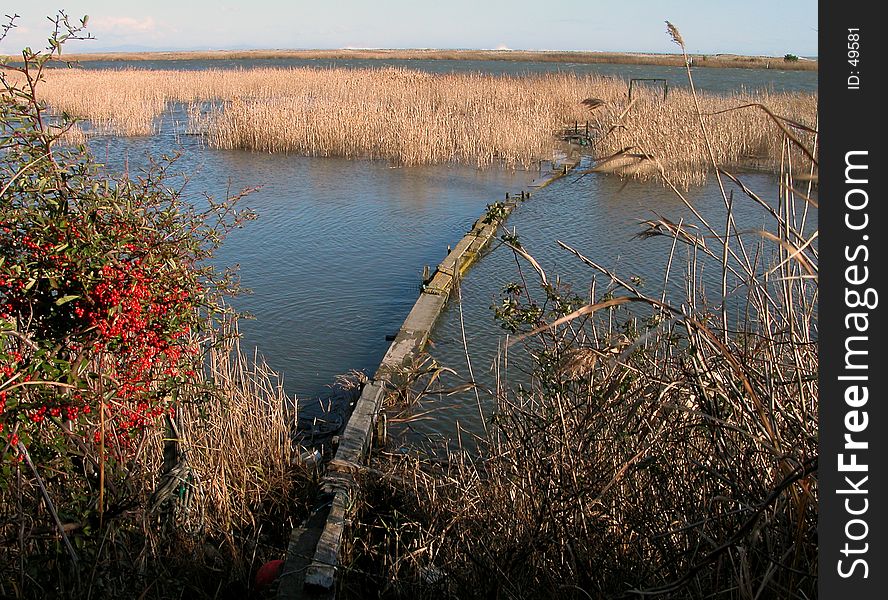 A wooden footbridge over a pond near the beach.