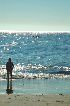 Man Watching Sea Kayakers Stock Photography