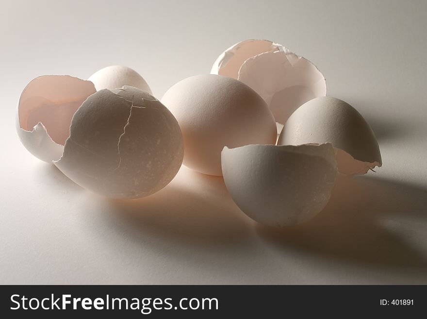 White Egg Shells on white background