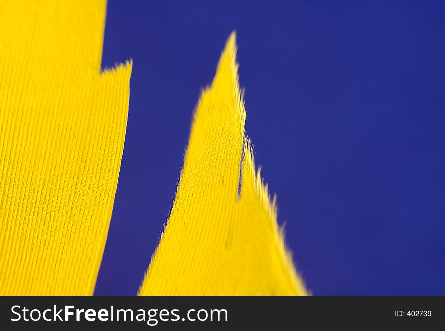 Yellow Feather on a Blue Background