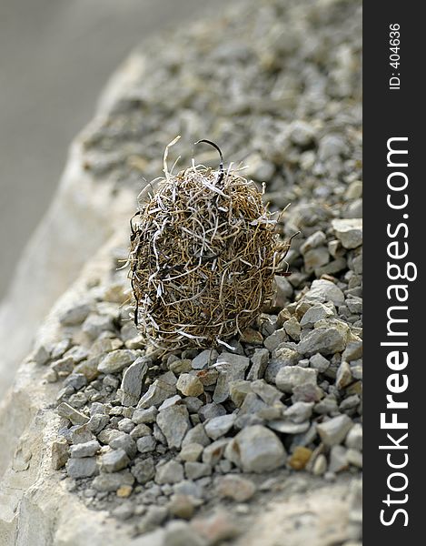 A fibrous ball of unknown origin sits atop a bed of gravel on a rock at the bottom of a cliff face. A fibrous ball of unknown origin sits atop a bed of gravel on a rock at the bottom of a cliff face