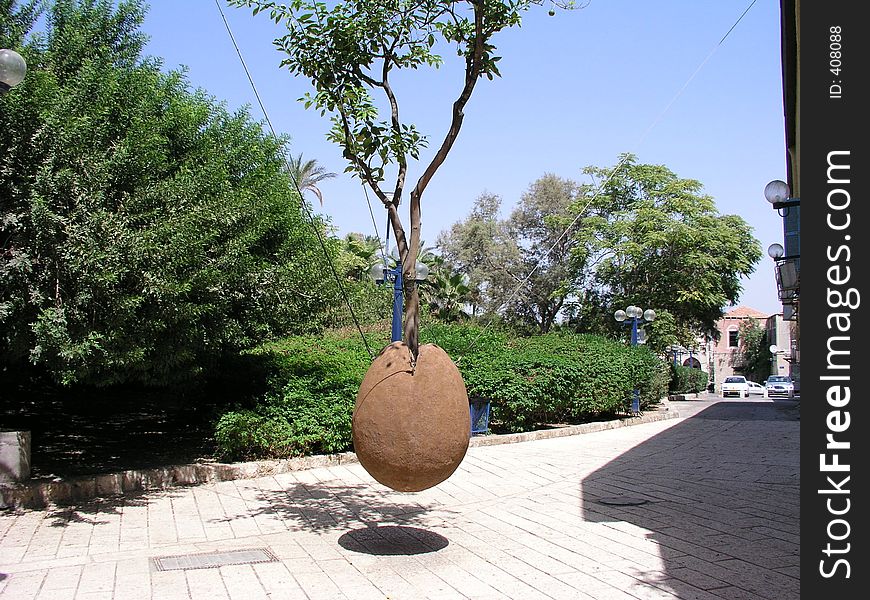 Tree growing in plant pot suspended in mid-air in the Old City of Yafo. Tree growing in plant pot suspended in mid-air in the Old City of Yafo