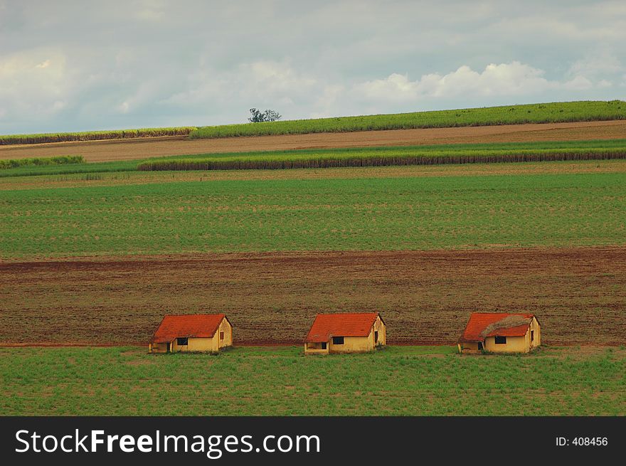 Three small houses in plantation at farm
