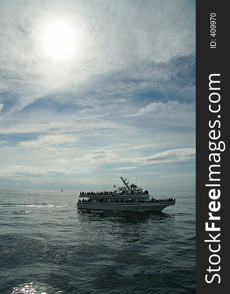 Whale Watching Ship in Cape Cod