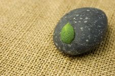 Zen Stone And Leaf Royalty Free Stock Photography Zen Stone And Leaf Royalty Free Stock Photography