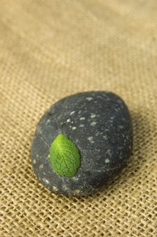 Zen Stone And Leaf Royalty Free Stock Photography Zen Stone And Leaf Royalty Free Stock Photography