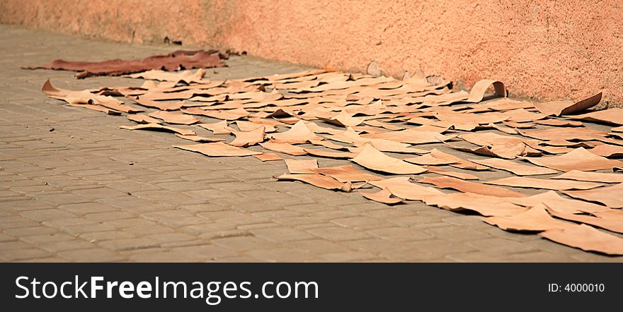 Pieces of leather drying in the sun Morocco North Africa