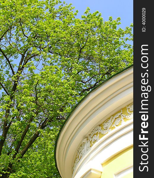 Roof of a white building under branches of trees. Roof of a white building under branches of trees