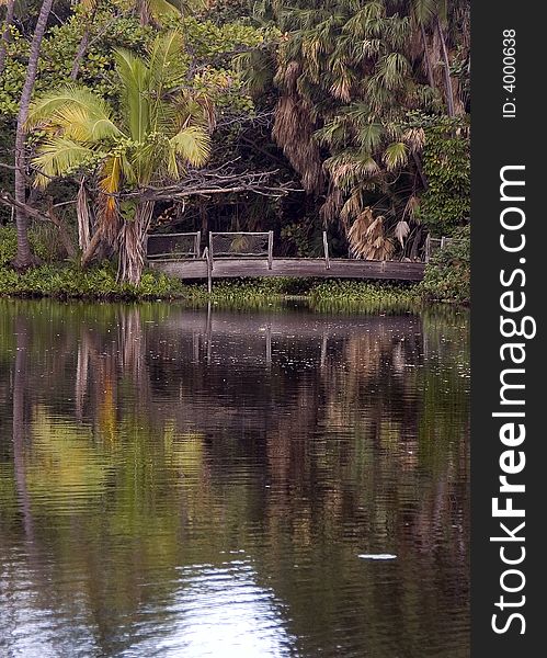 Reflections of trees on a pond with bridge. Reflections of trees on a pond with bridge