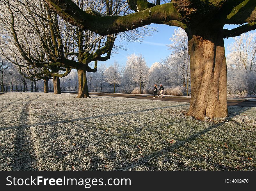 The park in winter with two female joggers. The park in winter with two female joggers