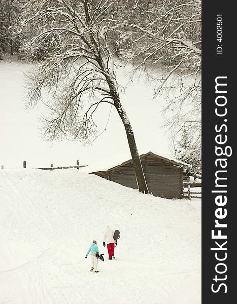 Skiing area in Soell (Austria), general view from the top showing skiers and trees