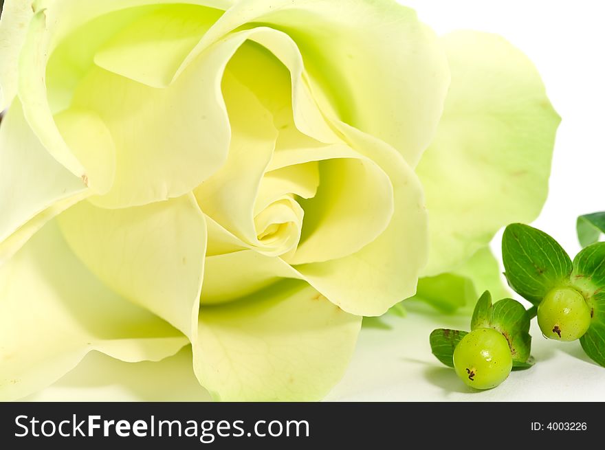 Close up on yellow rose and decorations