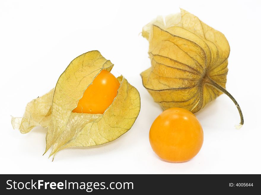 Physalis on a white background