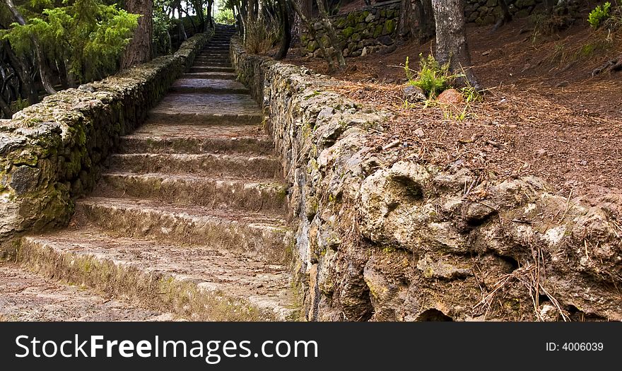 Steps over the Teide forest in Tenerife Island, Spain. Steps over the Teide forest in Tenerife Island, Spain.