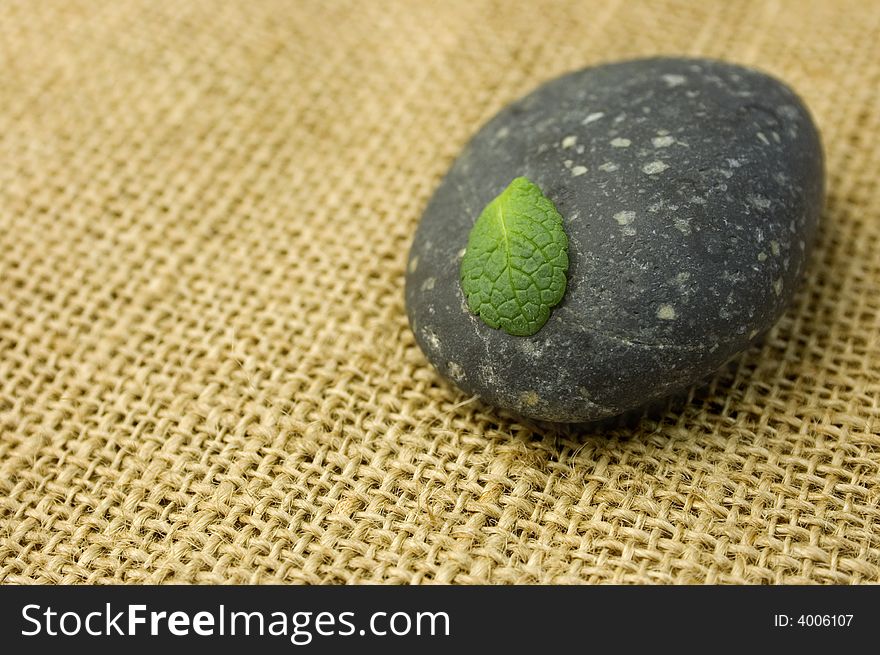 Green leaf on a black stone on a burlap texture. Zen symbol of life and meditation. Green leaf on a black stone on a burlap texture. Zen symbol of life and meditation.