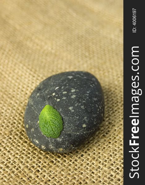 Green leaf on a black stone on a burlap texture. Zen symbol of life and meditation. Green leaf on a black stone on a burlap texture. Zen symbol of life and meditation.