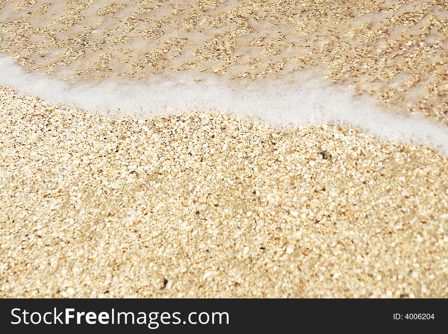 Background of seashore with shells and wave