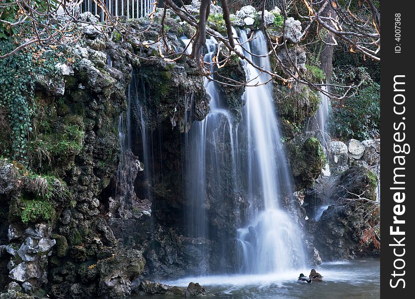 Ducks and Waterfall