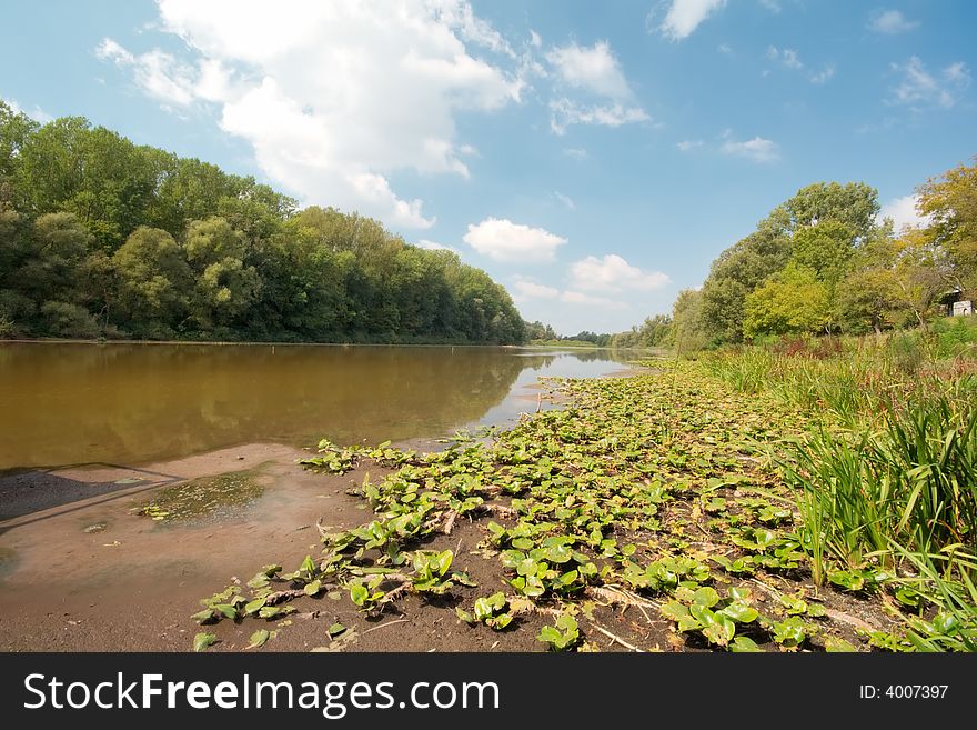 Lake with forest on the coast