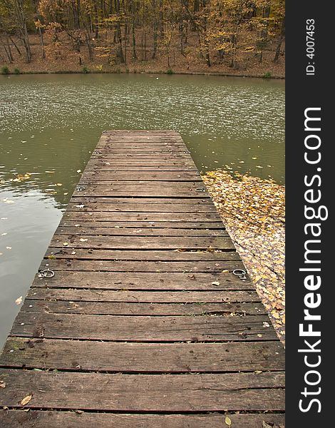 Wooden pier on lake in forest