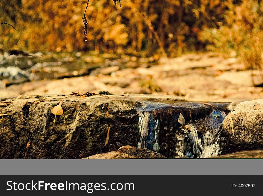 A view in parks of italy showing late autumn nature. A view in parks of italy showing late autumn nature