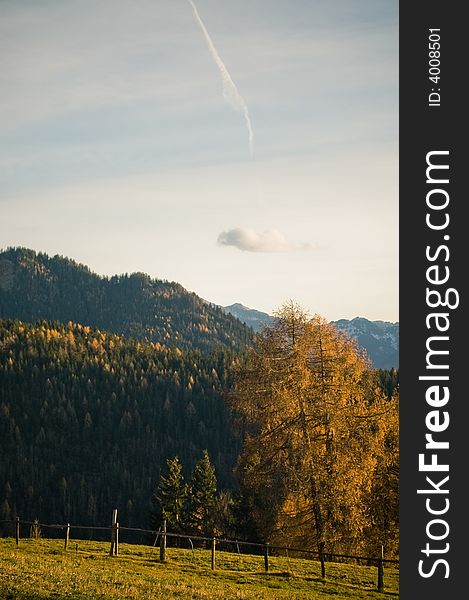 A view in parks of italy showing late autumn nature. A view in parks of italy showing late autumn nature