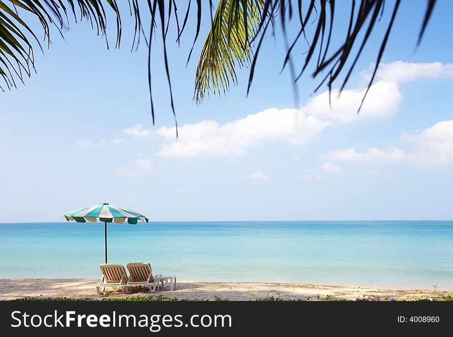 View of nice empty sandy beach with some palms around. View of nice empty sandy beach with some palms around