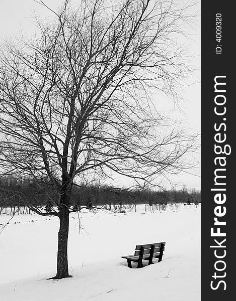 Bench in a park during winter in quebec canada. Bench in a park during winter in quebec canada