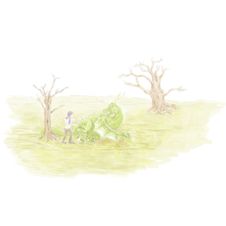 Fantasy Scene Dragon Royalty Free Stock Photography Fantasy Scene Dragon Royalty Free Stock Photography
