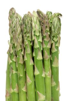 Fresh Organic Asparagus Royalty Free Stock Photography Fresh Organic Asparagus Royalty Free Stock Photography
